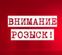 Очевидец, отзовись! В Туле разыскивают виновников двух ДТП