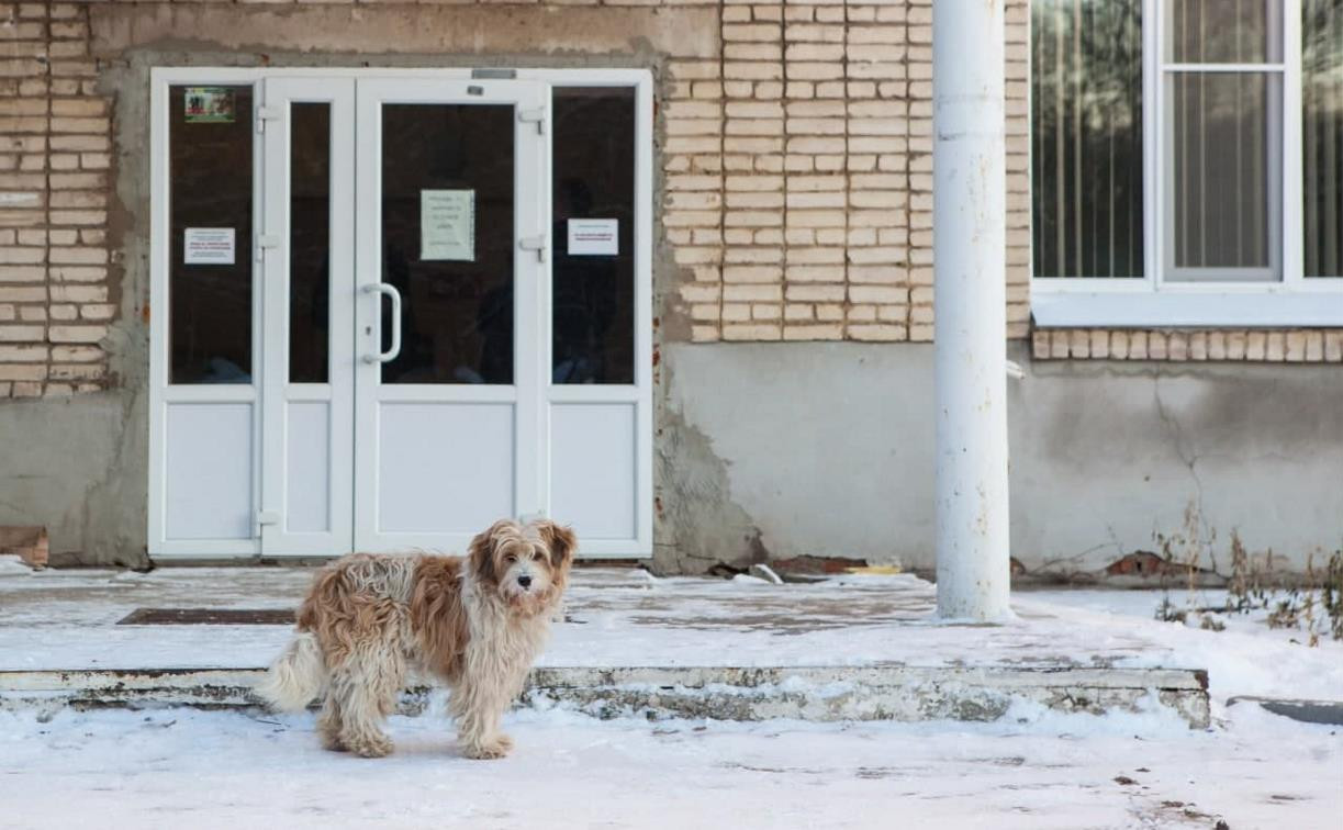 Погода в Туле 6 января: облачно и небольшой снег