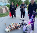 Самокатчик сбил бабушку на ул. Кауля: его заблокировали и оштрафовали на 100 тысяч