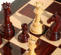 Юные тульские шахматисты успешно выступили в Подмосковье