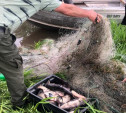 На водохранилище у Советска поймали рыбака-браконьера