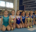 Тульские гимнасты завоевали награды в Брянске