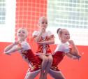 В Тульской области прошел открытый Кубок региона по спортивной акробатике на призы президента компании «Щёкиноазот»