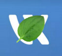 Из-за сбоя дата-центра социальная сеть «ВКонтакте» частично недоступна