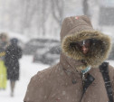 Погода в Туле 7 февраля: без осадков, лёгкий мороз и сильный ветер