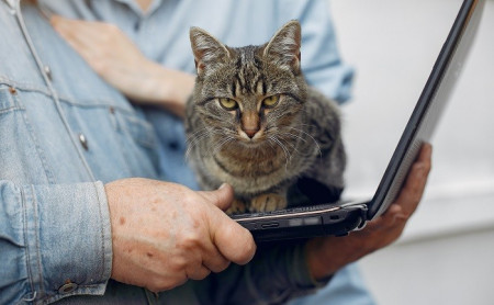 Жизнь Тулы и области