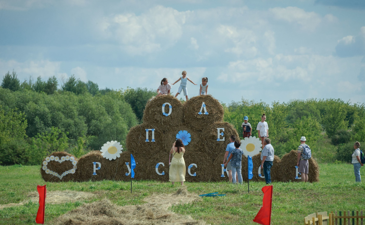 На Куликовом поле прошел фестиваль «Сено-солома»