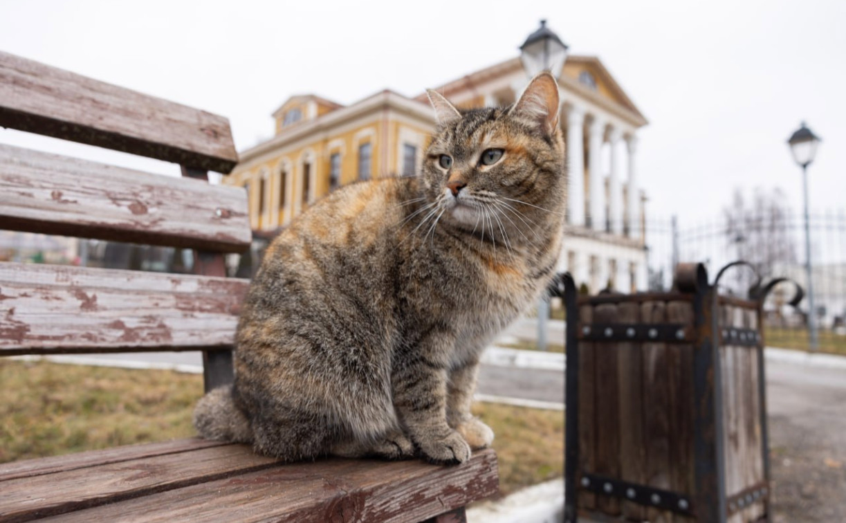 Синоптики: Первомай начнется заморозками