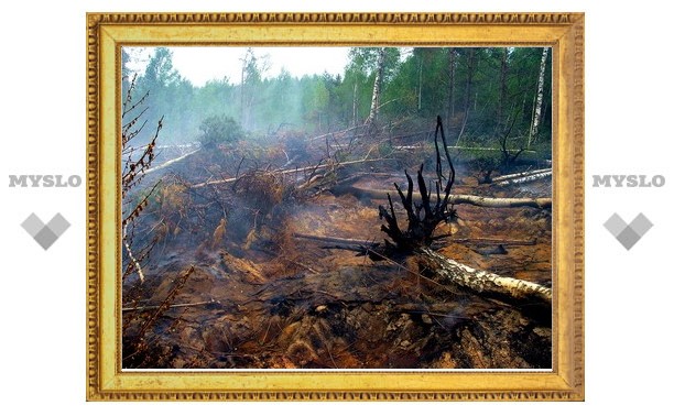 В России возросло число крупных пожаров