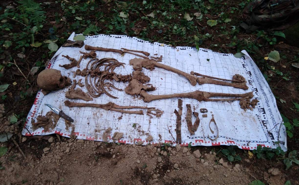 В Тульской области в лесу поисковики нашли останки офицера РККА
