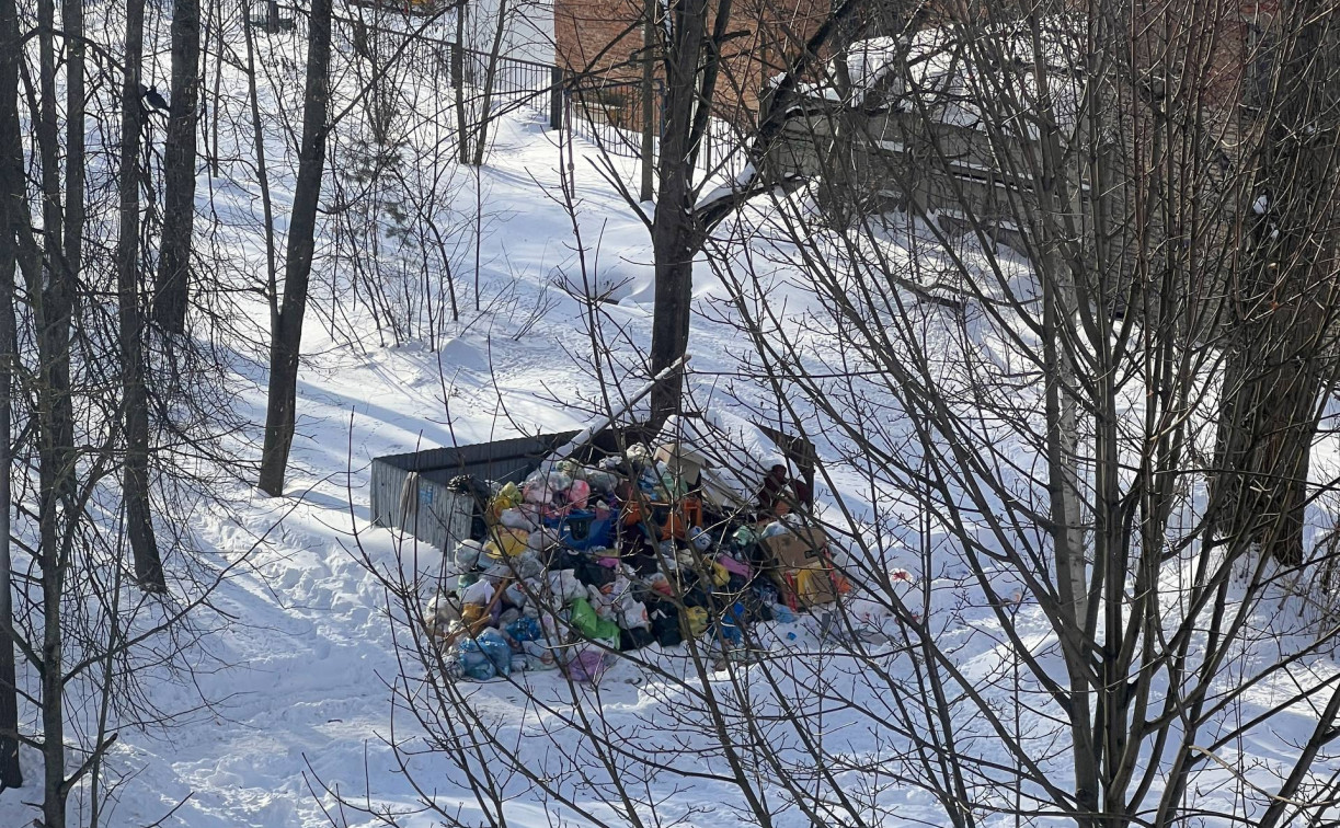 Туляки с улицы Академика Обручева: «Центр города в снежной ловушке и утопает в мусоре»