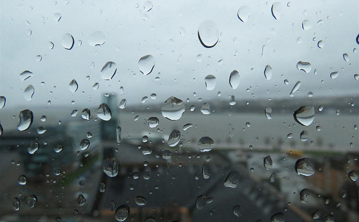 Погода в Туле 29 августа: прохладно, ветрено и дождливо