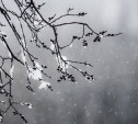 Погода в Туле 19 января: облачно, ветрено и небольшой снег