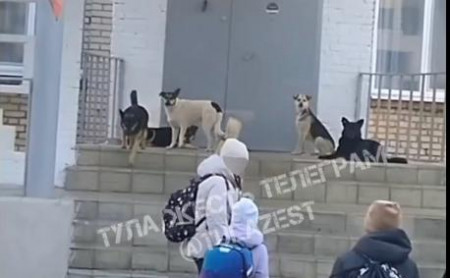 Жизнь Тулы и области