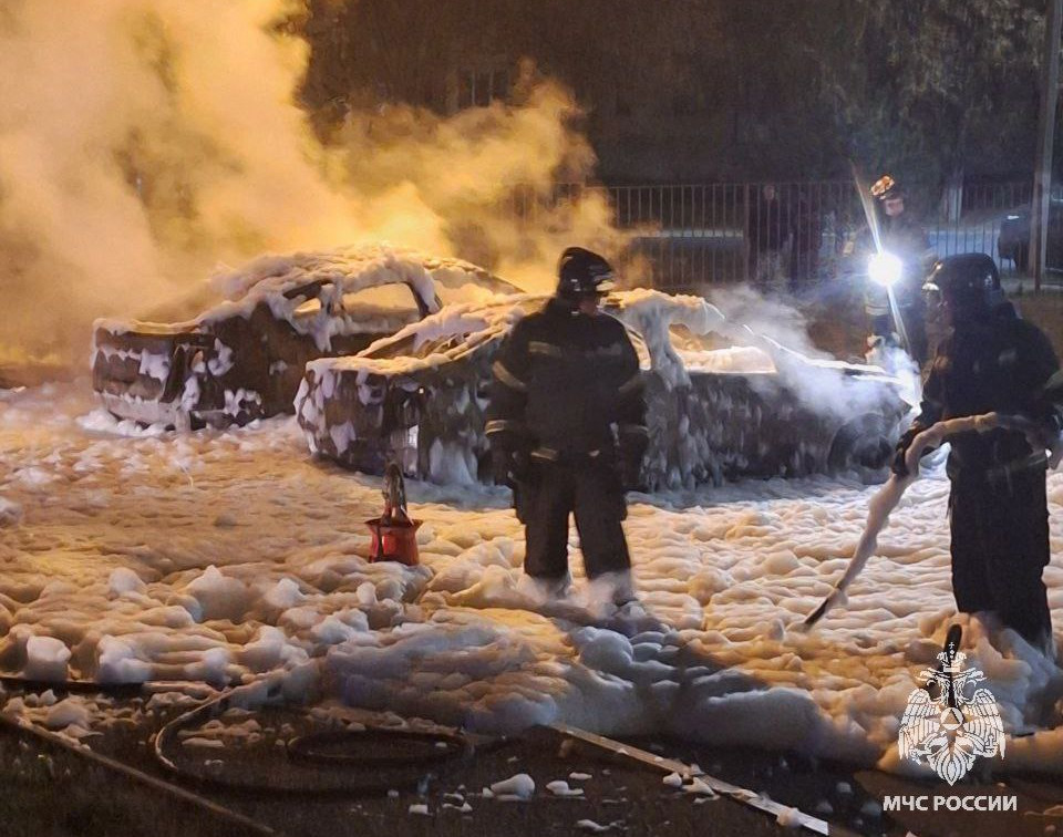 В Новомосковске сожгли две машины: суд арестовал подозреваемых 