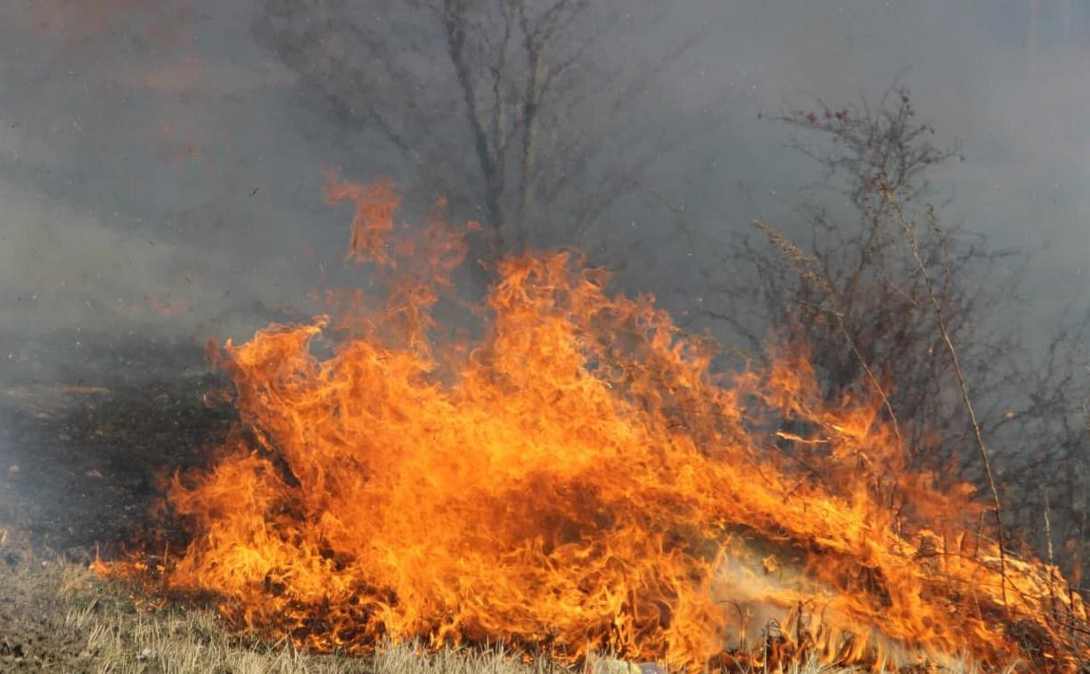 В Тульской области с 16 апреля введут особый противопожарный режим