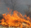 В Тульской области с 16 апреля введут особый противопожарный режим