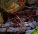 В Туле на набережной Дрейера нашли свалку медицинских отходов