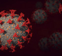 Как передается «омикрон» и где проще всего им заразиться: семь вопросов о новом опасном штамме коронавируса
