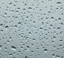Погода 1 июня: в Туле дождливо и до +25°С
