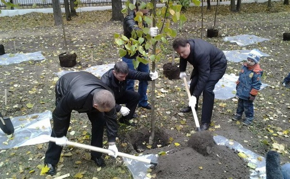 В Туле стартовала акция "Дай жизнь дереву"