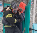 На пожаре в Новомосковской многоэтажке спасены четверо детей и двое взрослых