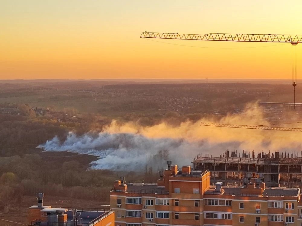 Тулякам заплатят 10 тысяч рублей за помощь в поимке поджигателей сухой травы