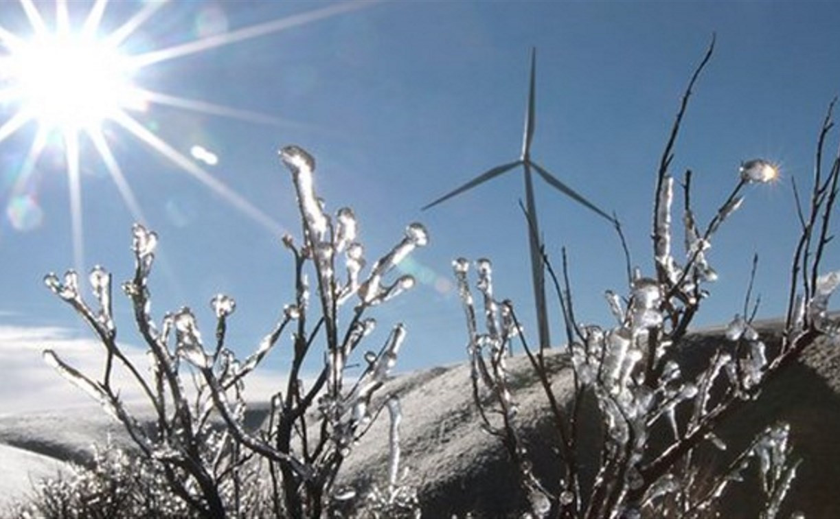 В последние зимние дни в Тульской области ожидается потепление