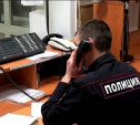 Жителя Ясногорска осудили за ложное сообщение об угоне