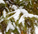 Погода в Туле 22 декабря: мороз, снег и пониженное давление
