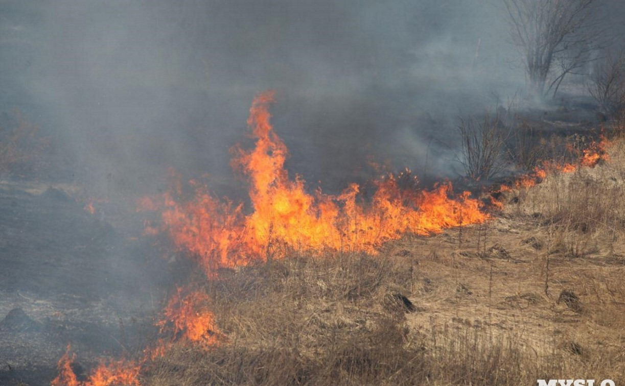 В Тульской области сохраняется высокий уровень пожарной опасности