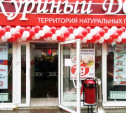В Туле магазин «Куриный дом» на Красноармейском проспекте закрыли из-за тараканов