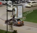 Прыгал по машине и ударил девушку: тульская полиция начала проверку