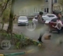 Туляк снял на видео, как мужчина избивает ногами маленькую собачку