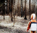 В Северо-Задонске потерялась двухлетняя девочка 