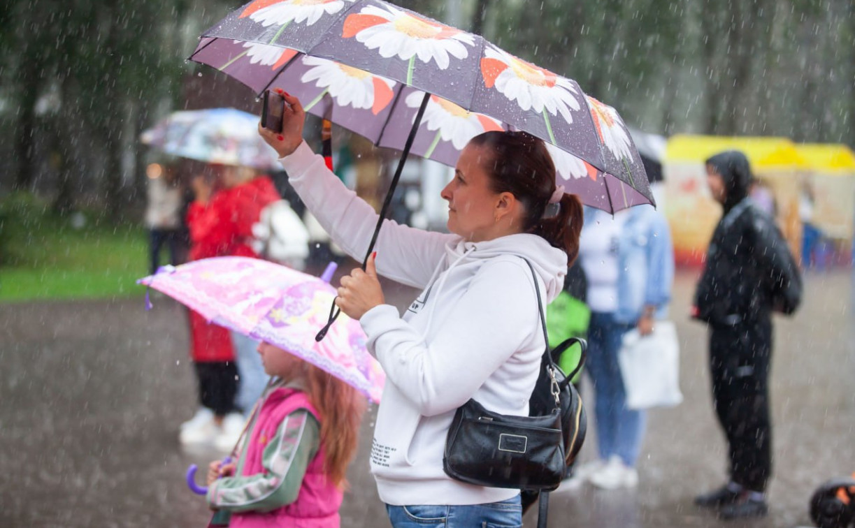 Погода в Туле 27 октября: дождливо и ветрено