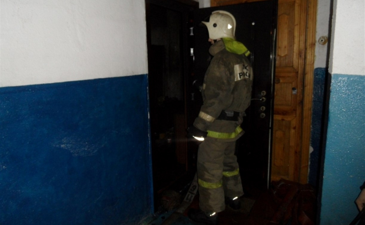 На ночном пожаре в Туле пожарные спасли четырёх человек