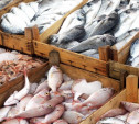 В тульском магазине изъяли полтонны рыбы и морепродуктов неизвестного происхождения