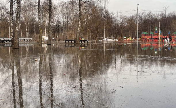 Туляки показали на фото затопленный Баташевский сад