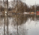 Туляки показали на фото затопленный Баташевский сад