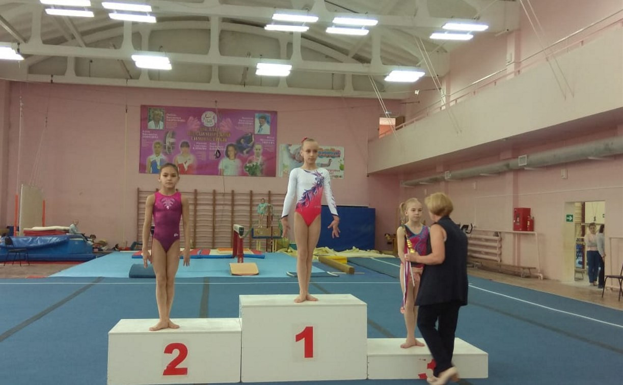 Тульские гимнастки взяли две медали на соревнованиях во Владимире