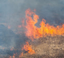 В Тульской области сохраняется 4-й класс пожароопасности