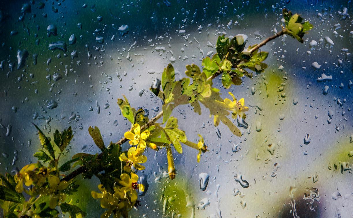 Погода в Туле 12 мая: дождь с грозой, ветер и до +25