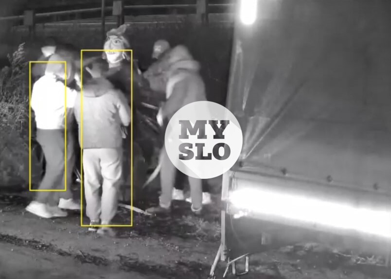 Страсти по Яге: в Каменке арт-объект приняли за мусор и украли