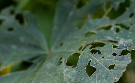 Жизнь Тулы и области