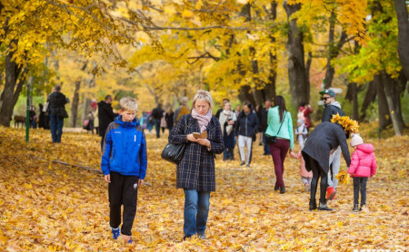Жизнь Тулы и области