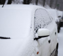 Снегопад, метель и гололед: МЧС предупредило туляков об ухудшении погоды 