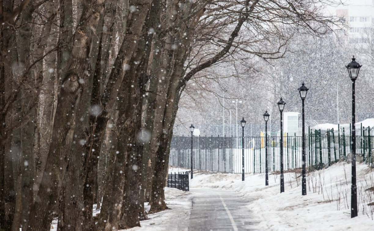 Погода в Туле 11 декабря: мокрый снег с дождём и ветер
