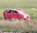 В Тульской области водитель Suzuki потерял управление и улетел в кювет