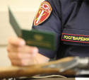 Туляки добровольно сдали 19 единиц оружия 